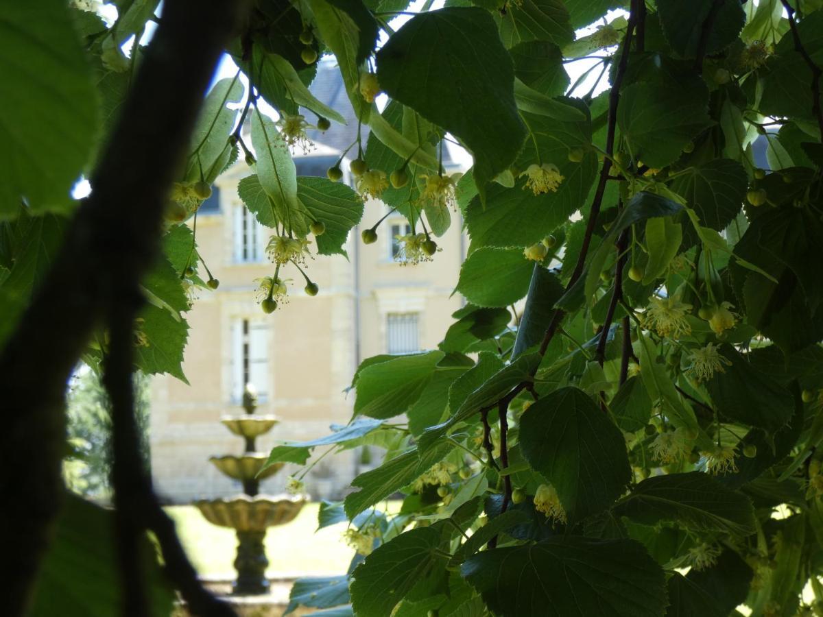 Chateau Marith - Etablissement Climatise Avec Piscine Hotel Clairac  Exterior photo